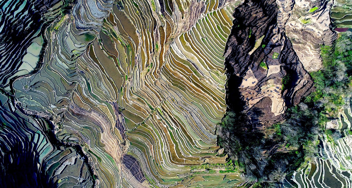 Aerial view of agricultural land