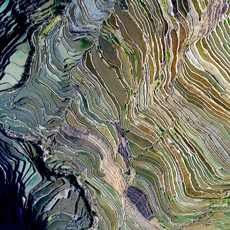 Aerial view of agricultural land